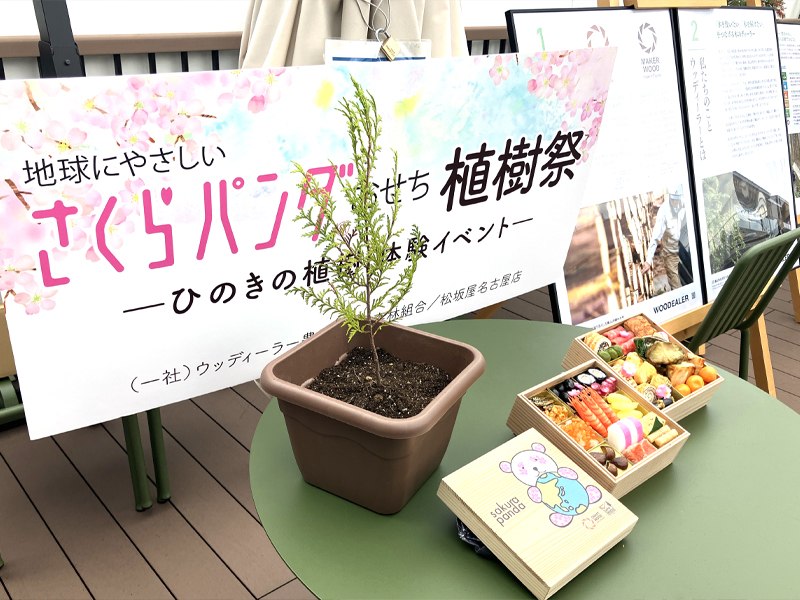 地球にやさしい「さくらパンダおせち」